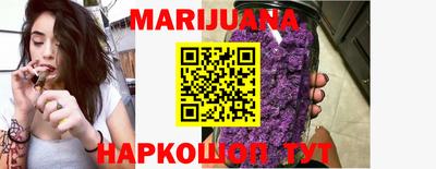 apvp Пугачёв