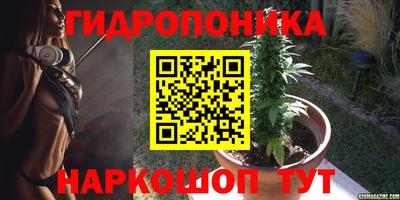 стафф Пыть-Ях