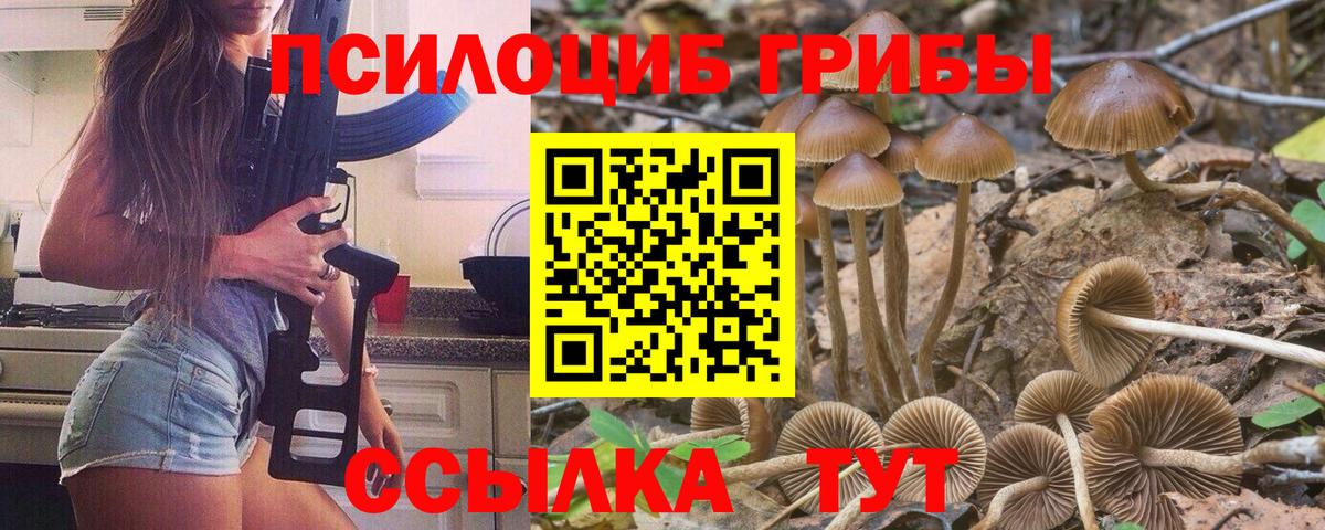 Партизанск  Галлюциногенные грибы Psilocybe  Вход с VPN 